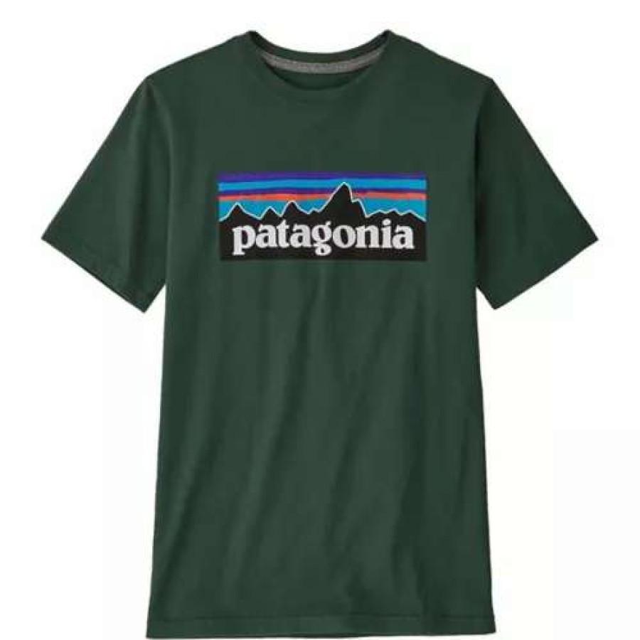 Shirts * | Kids' Patagonia Regen P6 Logo T-Shirt