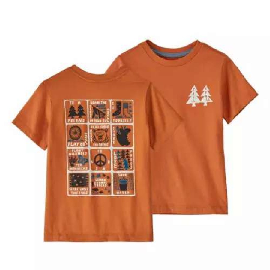 Shirts * | Todder Boys' Patagonia Regenerative Organic Certified Cotton Graphic T-Shirt